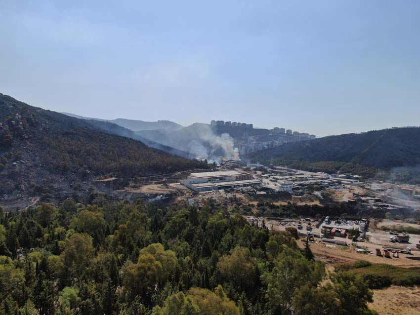 Alevler yeşili gri yaptı... Felaketten geriye kalan acı manzaralar - 8. Resim