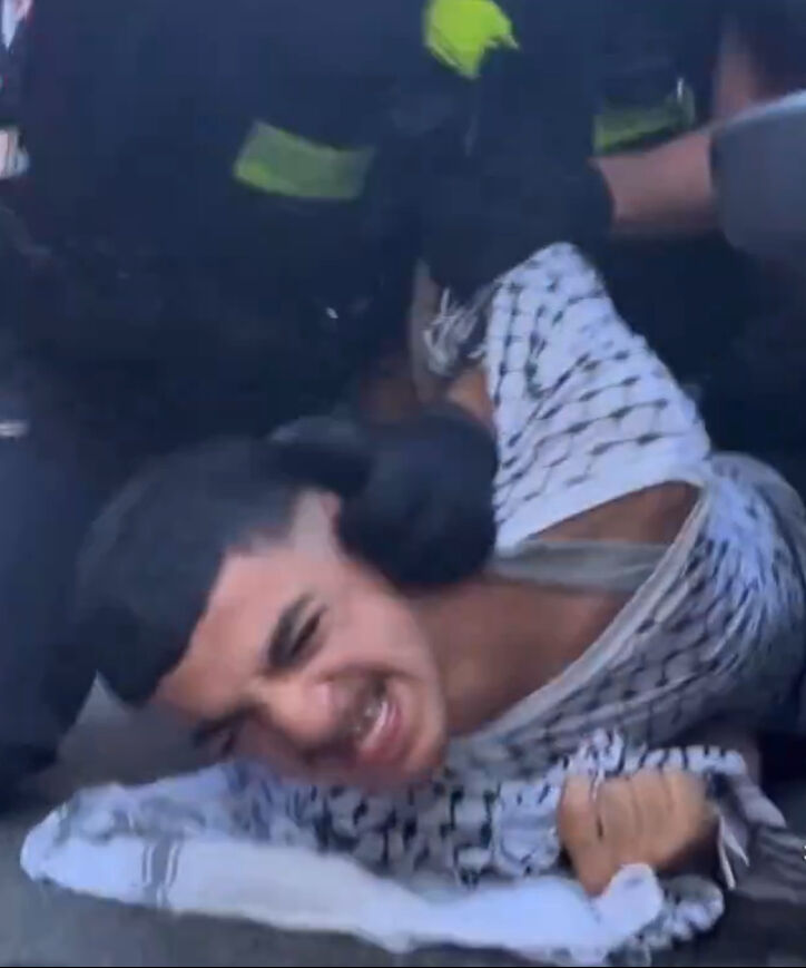 Almanya'nın Filistin hazımsızlığı s&uuml;r&uuml;yor! İsrail karşıtı g&ouml;sterilere polis şiddeti engeli - 3. Resim