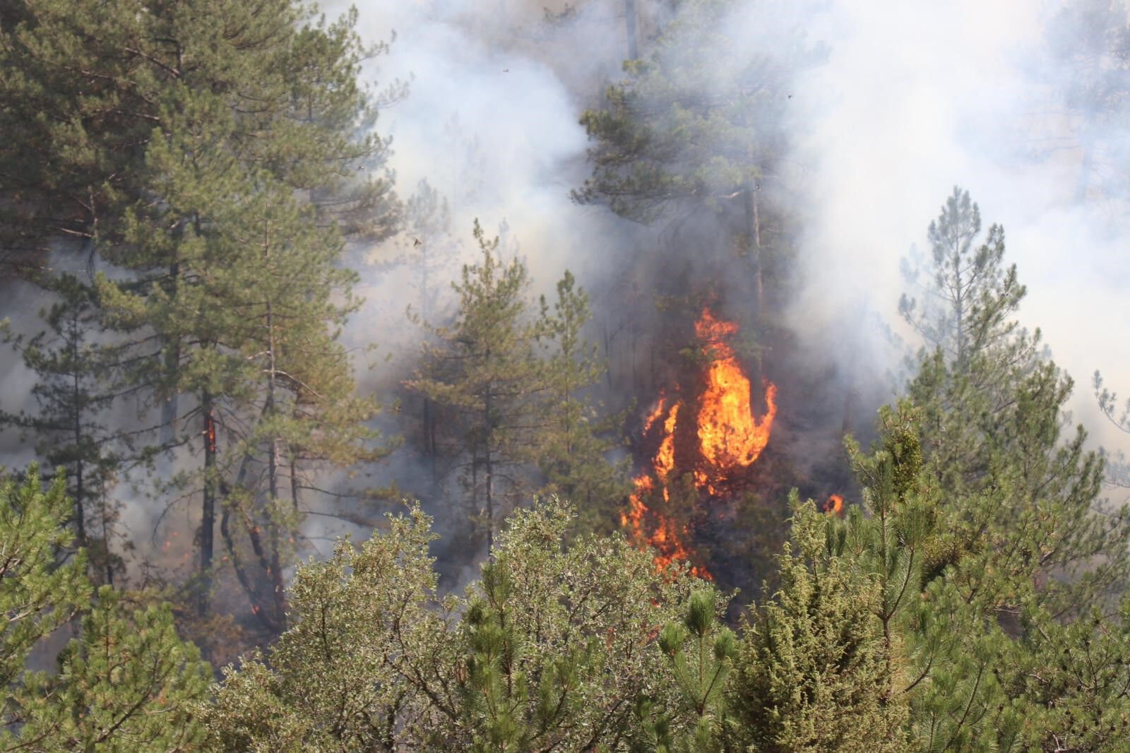 Bolu tarihinin en büyük yangını kontrol altında! Tahliye edilenler evlerine dönüyor - 2. Resim