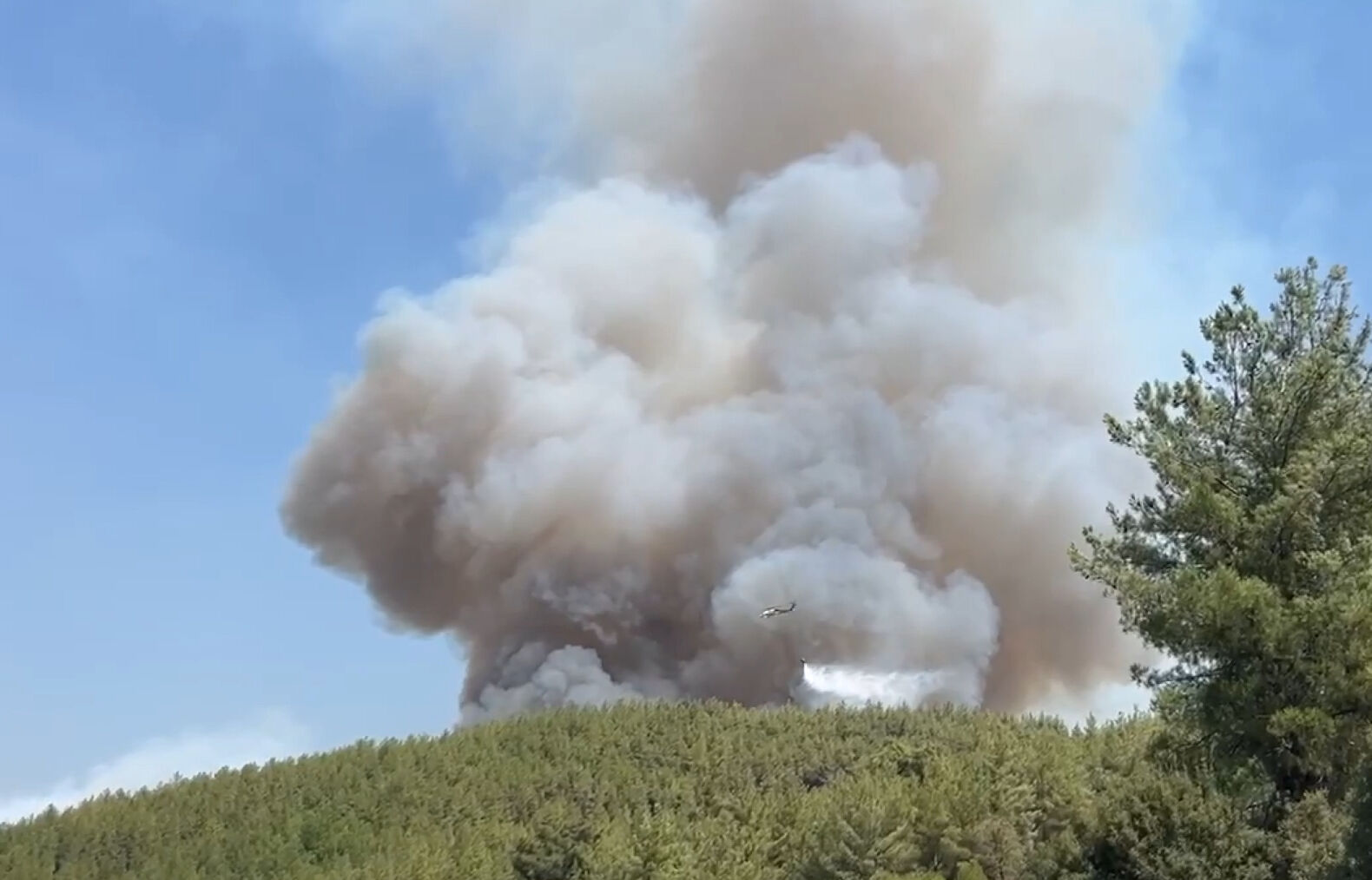 Muğla'da eş zamanlı iki yangın! Ekipler Yatağan ve Ula ilçelerinde seferber - 1. Resim