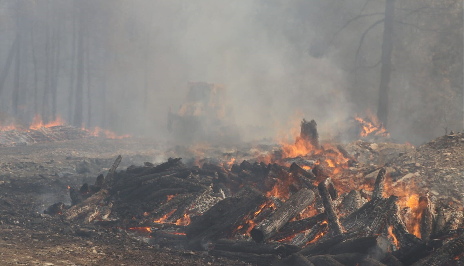 Muğla'da eş zamanlı üç yangın! 3 köy için boşaltma kararı - 3. Resim