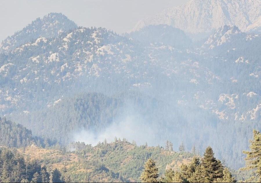 Osmaniye'de orman yangını! Ekipler anında müdahale etti Osmaniye'de orman yangını! Ekipler müdahale ediyor - 1. Resim