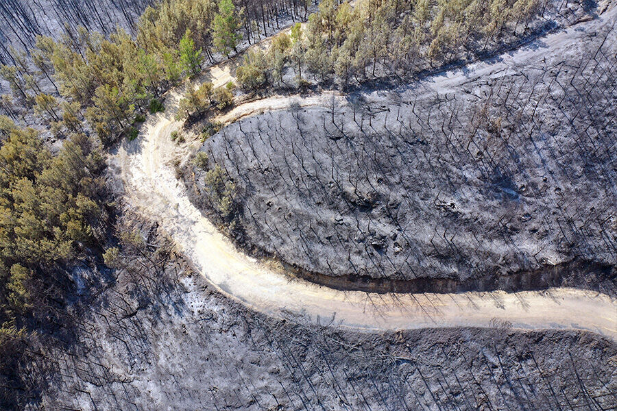 Türkiye kabusu yaşıyor!  İşte İzmir, Manisa, Bolu, Aydın'daki yangınlarda son durum... - 2. Resim