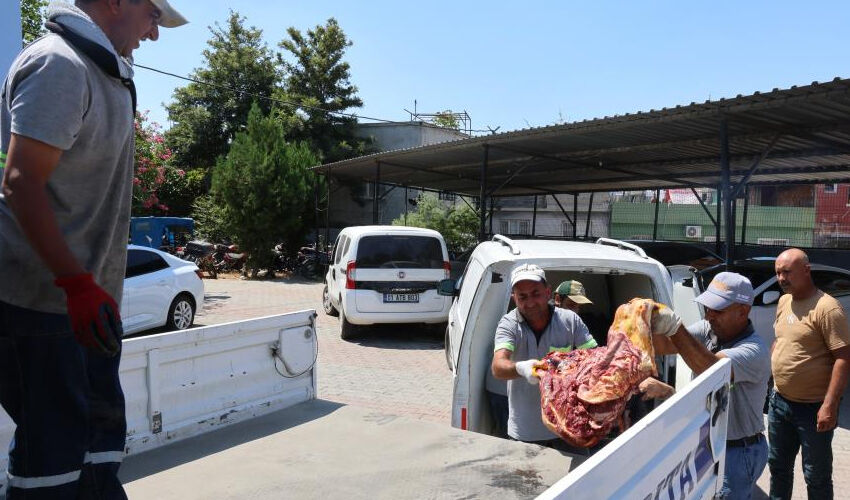 Adana’da 1.5 ton at ve eşek eti ele geçirildi! Yakalanan şahsın savunması hayrete düşürdü Adana’da 1.5 ton at ve eşek eti ele geçirildi! Yakalanan şahsın savunması hayrete düşürdü - 3. Resim