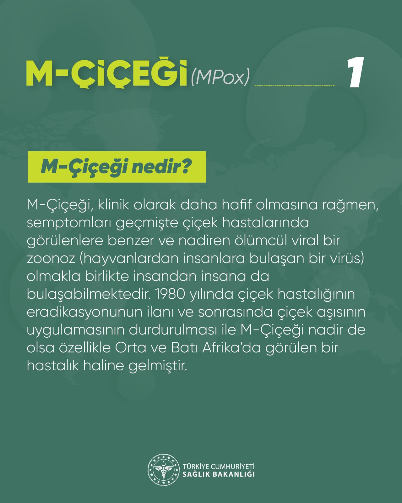 Belirtileri, tedavisi, bulaşma yolları... Sağlık Bakanlığı paylaştı, işte 11 soruda maymun çiçeği virüsü - 1. Resim