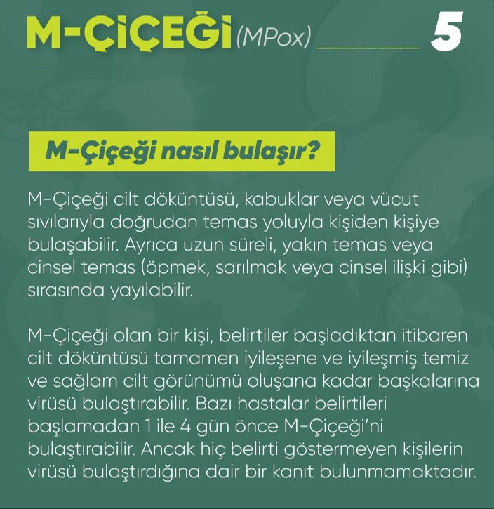 Belirtileri, tedavisi, bulaşma yolları... Sağlık Bakanlığı paylaştı, işte 11 soruda maymun çiçeği virüsü - 5. Resim