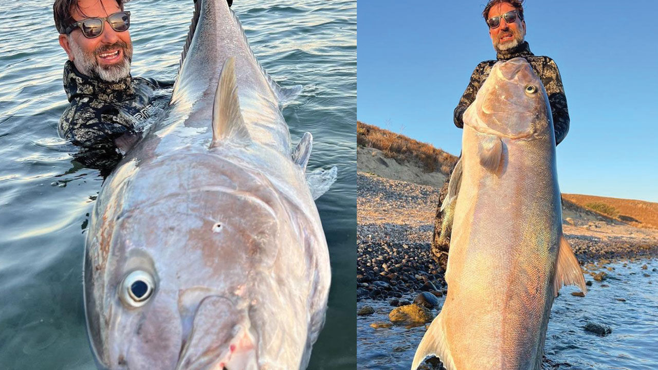 Dalgıç Müjdat Turan'dan Çanakkale'de çılgına çeviren av! Zıpkınla 2 metreye yakın akya vurdu - 2. Resim