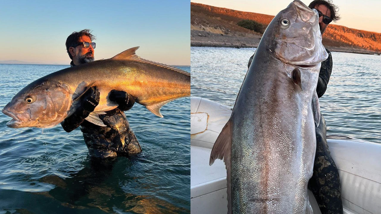 Dalgıç Müjdat Turan'dan Çanakkale'de çılgına çeviren av! Zıpkınla 2 metreye yakın akya vurdu - 1. Resim