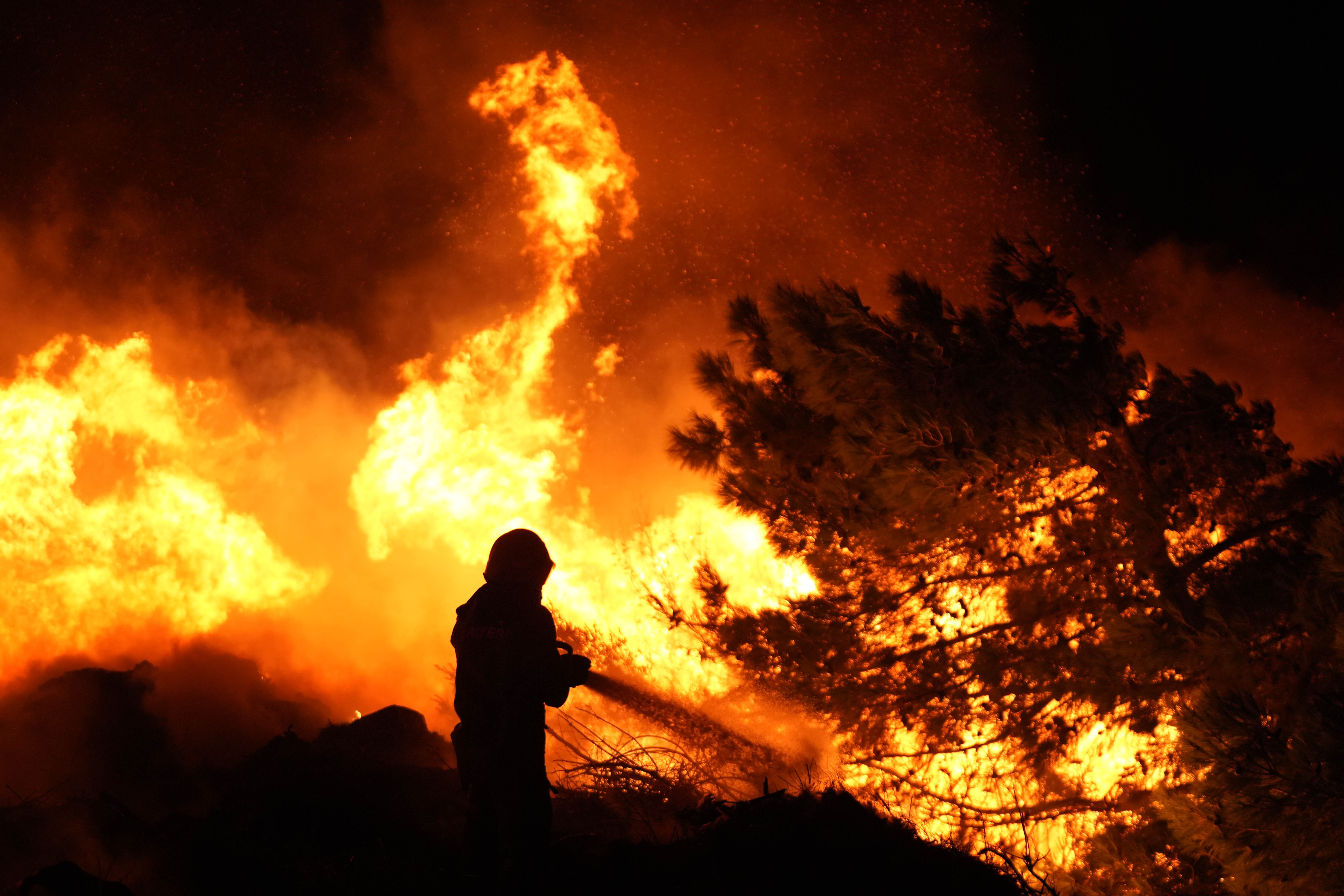 İzmir Urla'daki orman yangınının nedeni mangal mı? Resmi açıklama geldi - 1. Resim