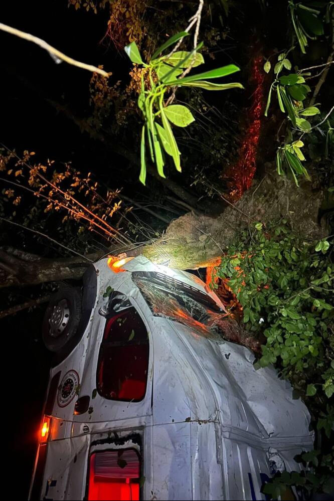 Kontrolden çıkan minibüs 150 metreden düştü! Çok sayıda yaralı var - 1. Resim