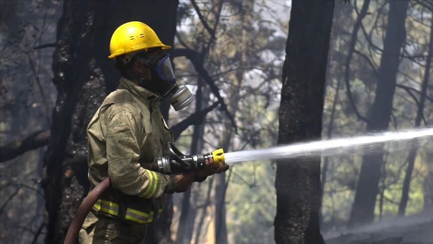 Ormanın kahramanları iş başında! 4 günde 304 yangını söndürdüler Ormanın kahramanları iş başında! 4 günde 304 yangını söndürdüler - 1. Resim