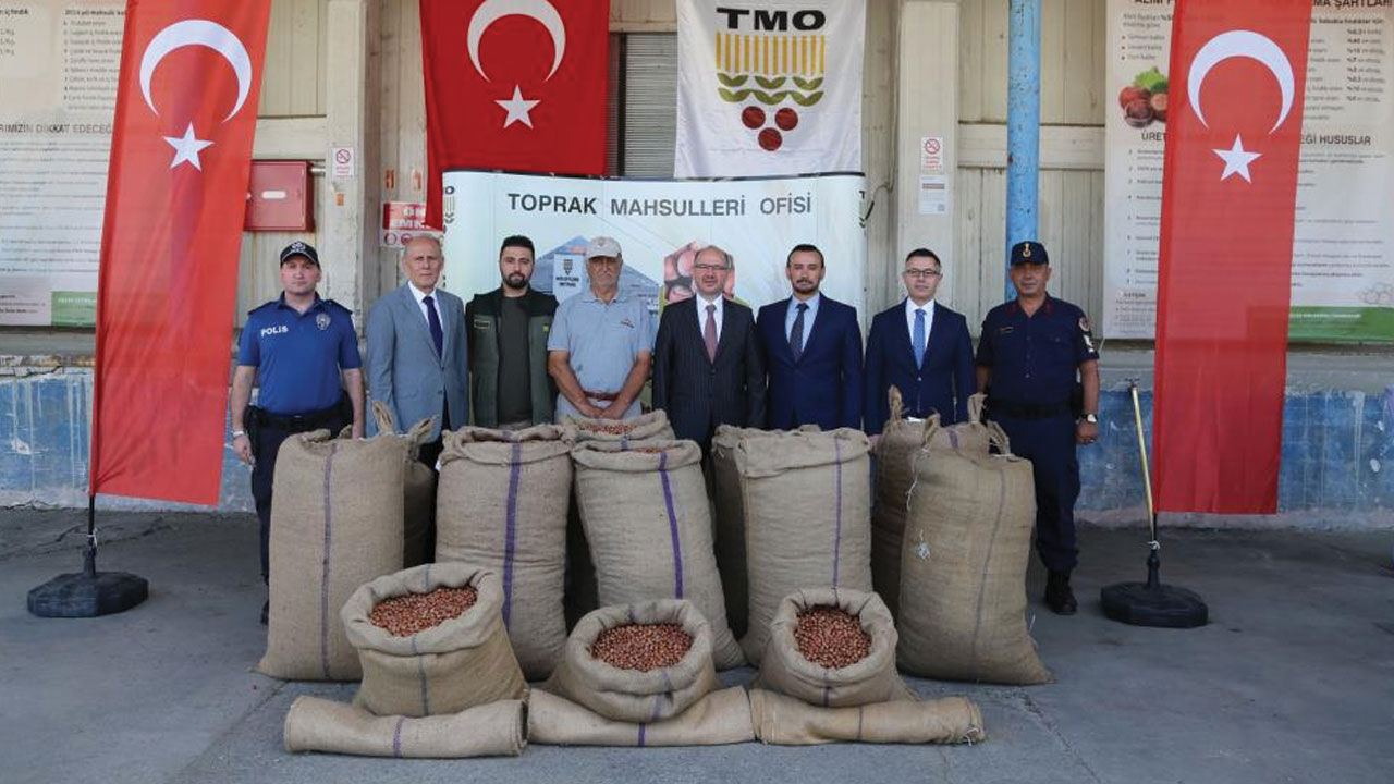 TMO Giresun'da sezonun ilk fındığını aldı! Fındığın ne kadar olduğu dikkat çekti - 1. Resim