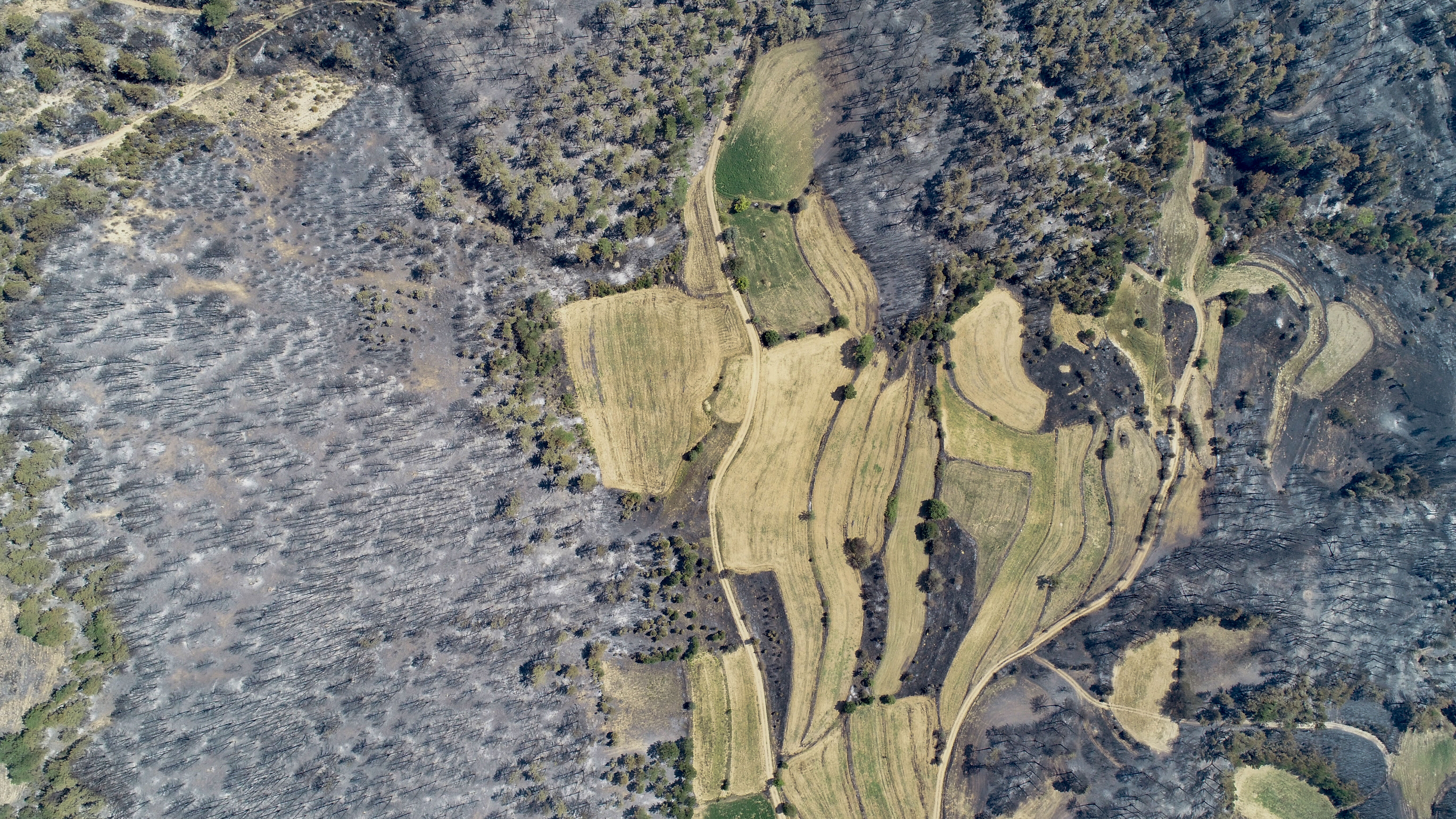 Yangının biri bitmeden diğeri başlıyor! Türkiye teyakkuzda - 2. Resim
