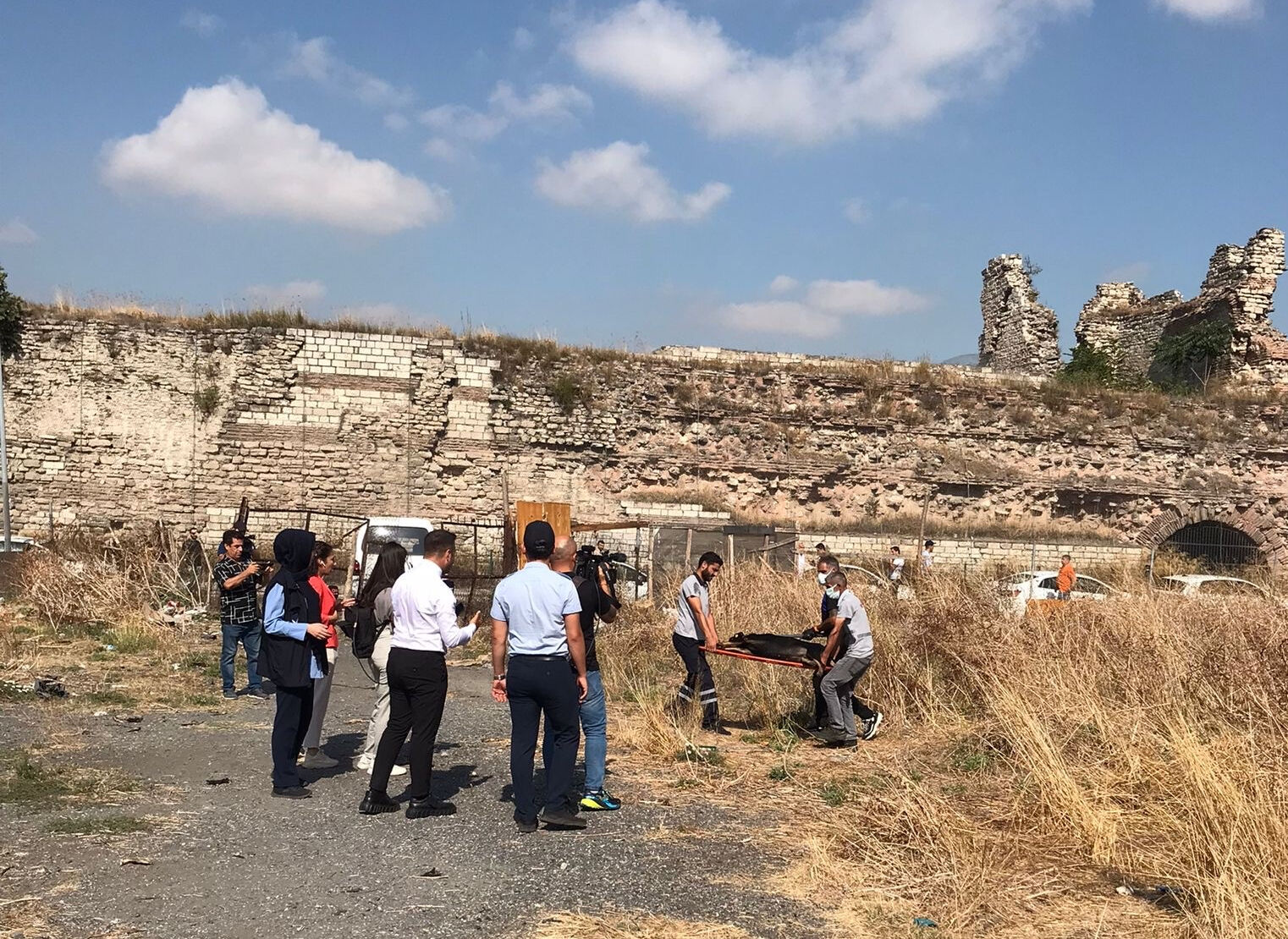 Fatih Belediyesi Ayhan Özçelik'i öldüren sahipsiz köpeklerin peşine düştü - 1. Resim