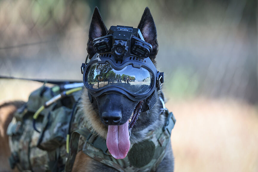 Mehmetçiğin arazideki gözü olacak! UKKS nedir ve nasıl çalışır? Mehmetçiğin arazideki gözü olacak! UKKS nedir ve nasıl çalışır? - 1. Resim