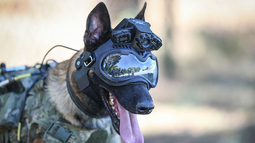 Mehmetçiğin arazideki gözü olacak! UKKS nedir ve nasıl çalışır? Mehmetçiğin arazideki gözü olacak! UKKS nedir ve nasıl çalışır? - 3. Resim