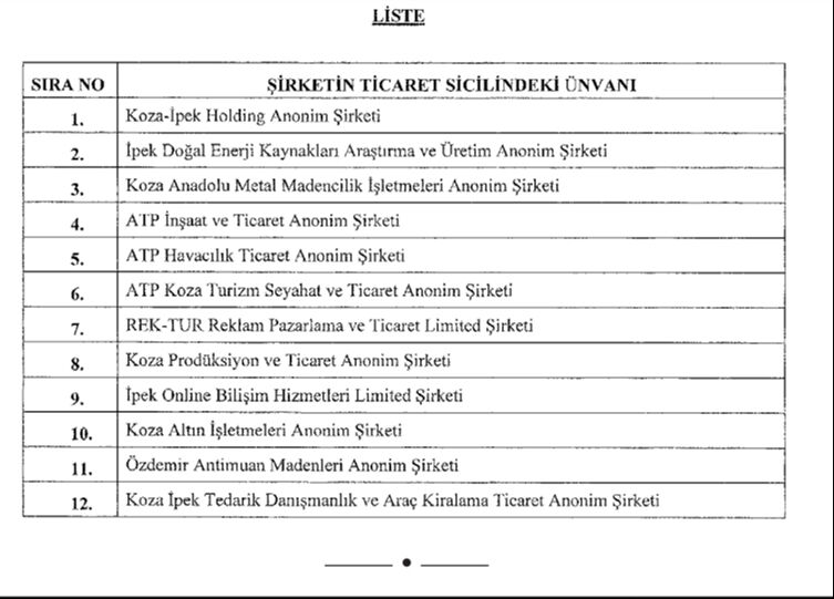 Resmi Gazete'de yayımlandı! 12 şirketin hazineye ait hisseleri Türkiye Varlık Fonu'na aktarıldı - 1. Resim