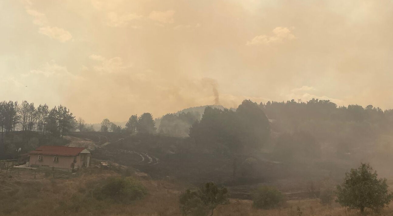 Ankara Kızılcahamam’da orman yangını! Alevler Bolu'ya sıçradı, Vali Şahin'den açıklama geldi - 3. Resim