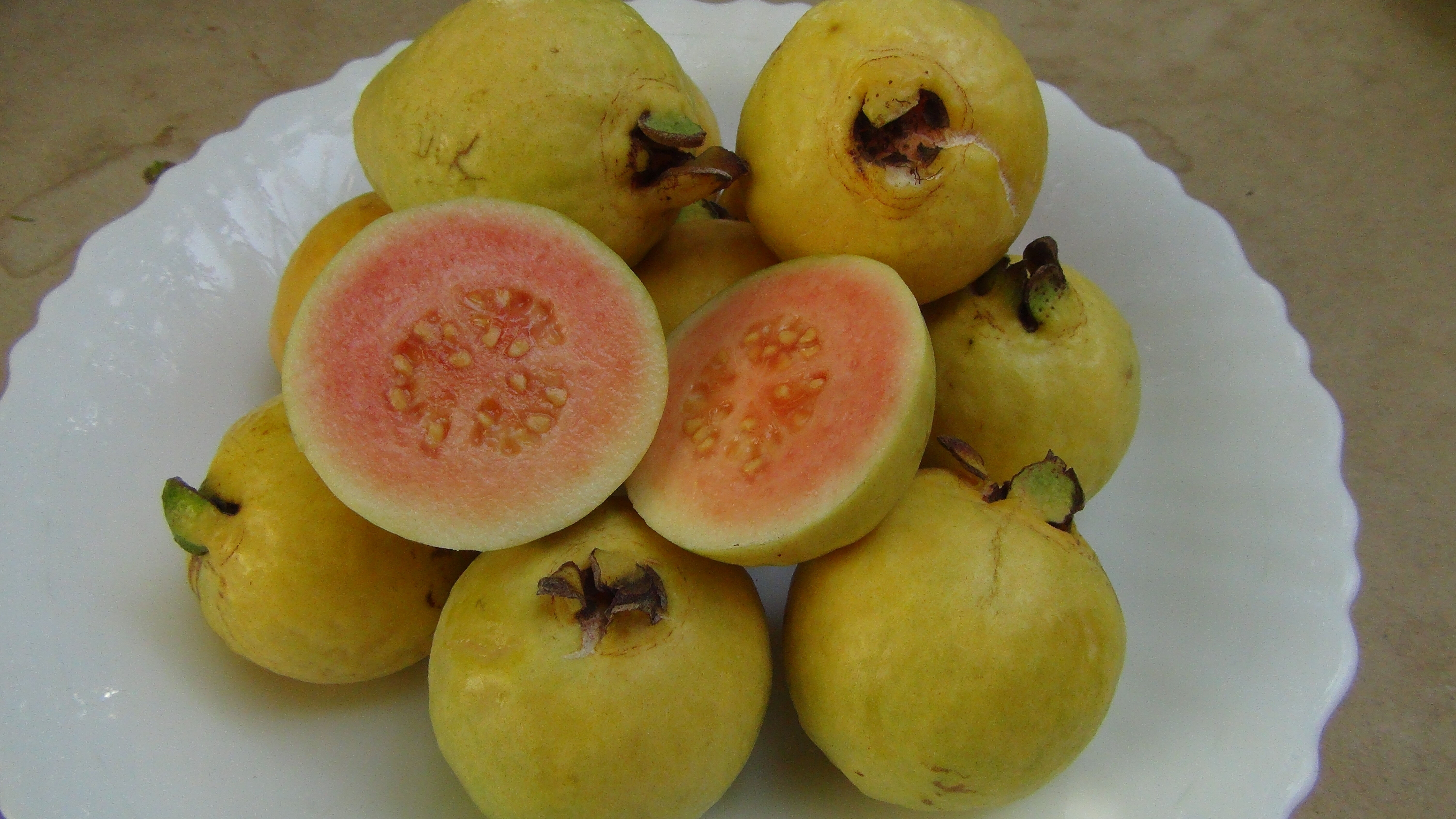 Mersin'de guava hasadı başladı! Kilosu tarlada 25 TL - 3. Resim
