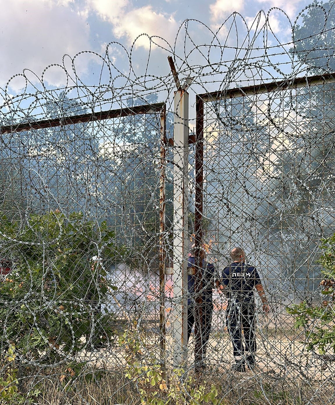 AFAD ve ekipler teyakkuzda! Bulgaristan'da çıkan yangın Türkiye'ye dayandı - 1. Resim