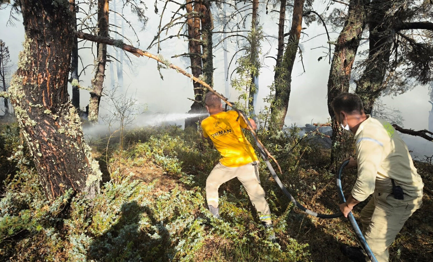 Ankara'da başlayıp Bolu'ya sıçrayan yangın kontrol altına alındı - 1. Resim