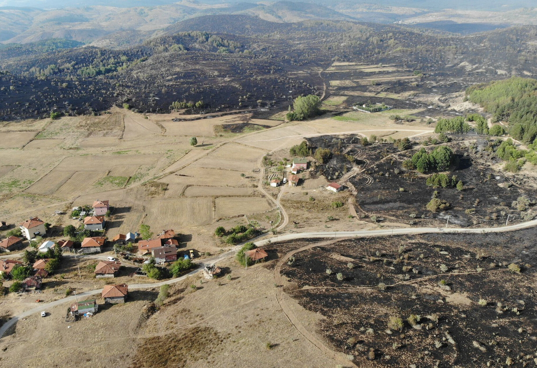 Ankara'da başlayıp Bolu'ya sıçrayan yangınla ilgili 1 şüpheli tutuklandı - 1. Resim