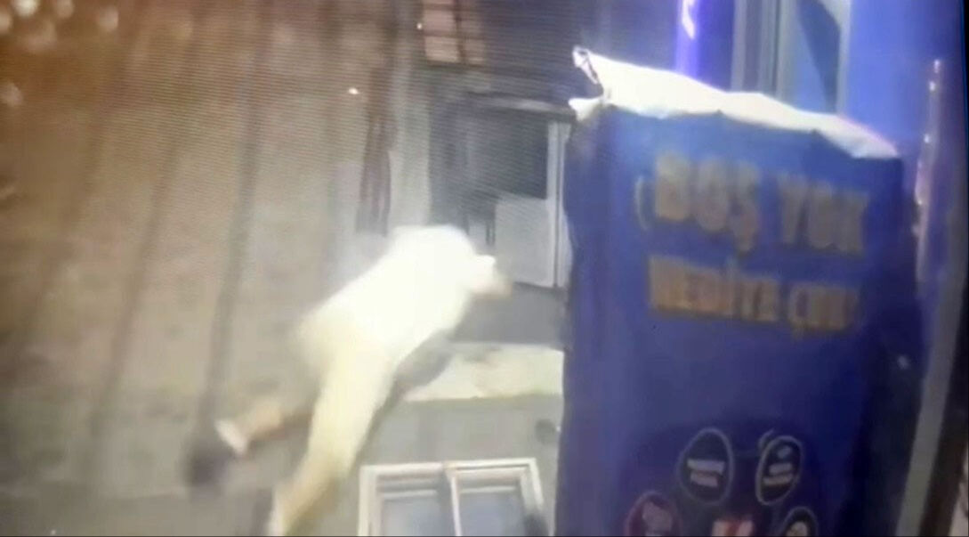 Filistinli iş adamı İstanbul'da suikasta uğramıştı! Arabayı Tekirdağ'da yakıp Romanya'ya kaçmışlar - 2. Resim