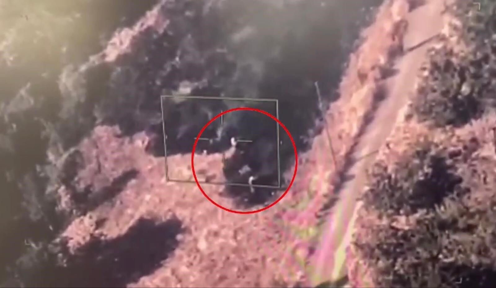 Mersin'de anız yakan 2 kişi dronla suçüstü yakalandı - 2. Resim