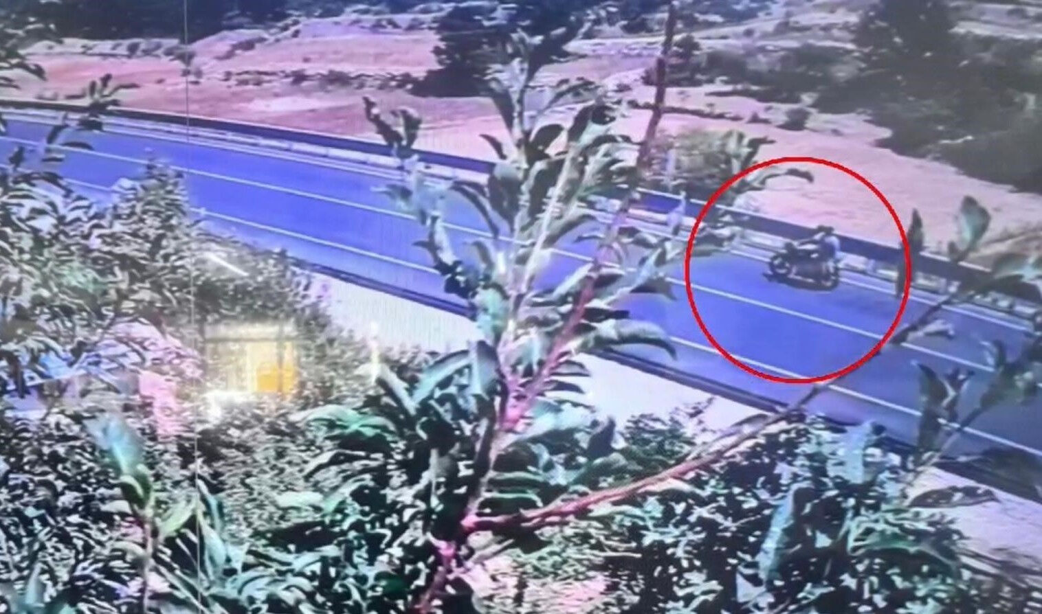 Mersin'deki orman yangının nedeni pes dedirtti! Suçlarını itiraf eden zanlılar tutuklandı - 1. Resim