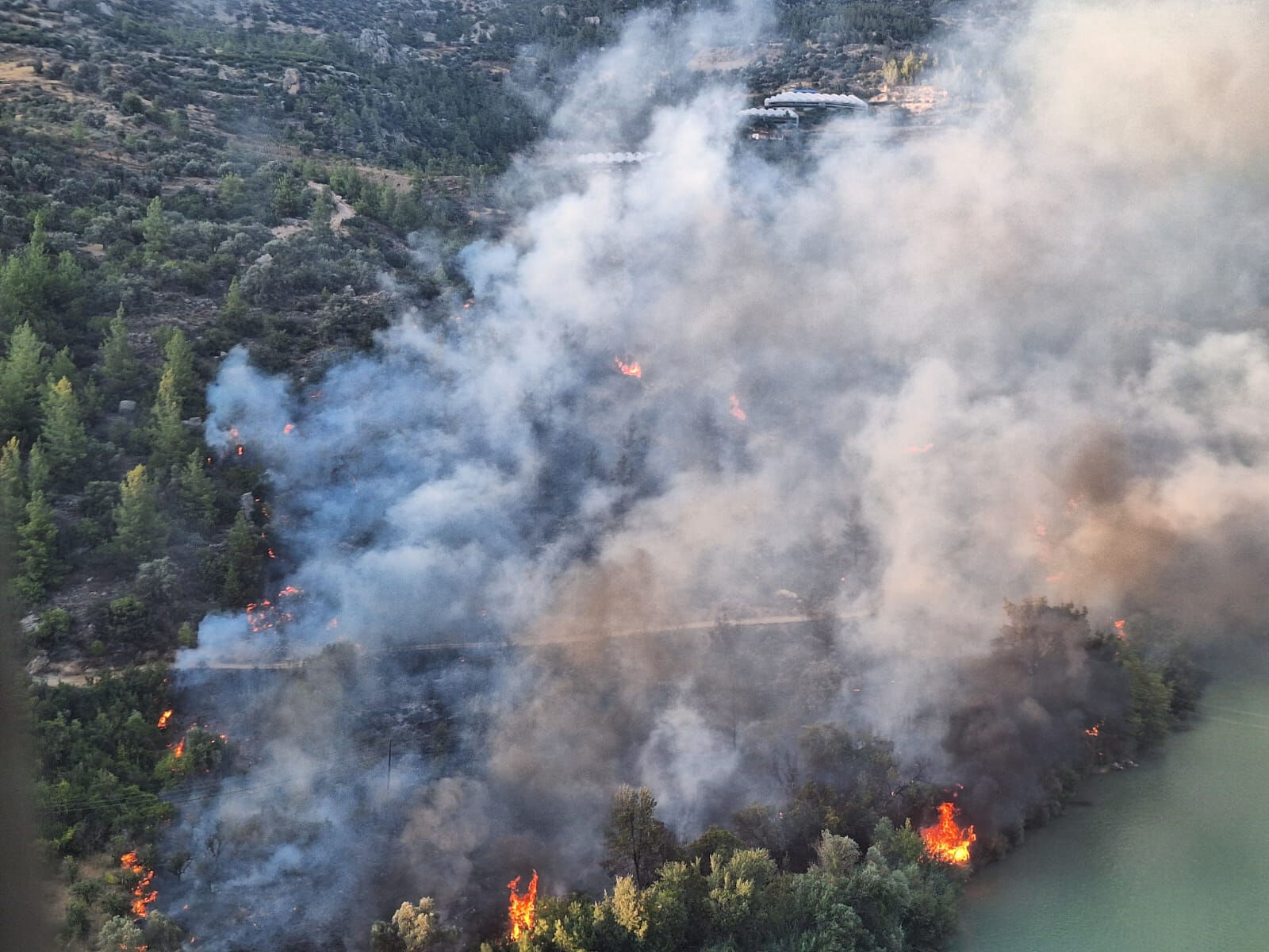 Mersin'deki orman yangının nedeni pes dedirtti! Suçlarını itiraf eden zanlılar tutuklandı - 4. Resim