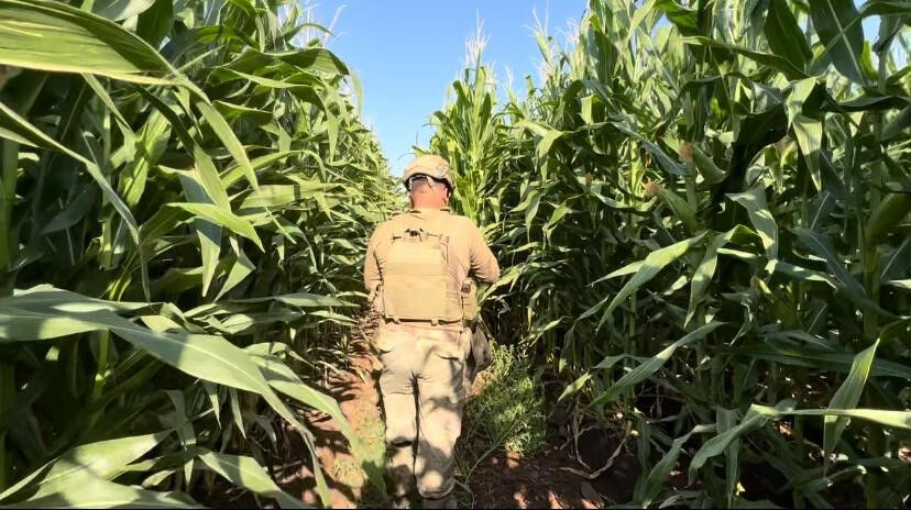 8 yaşındaki Narin Güran bulundu mu? Tüm birimler seferber oldu 8 yaşındaki Narin Güran bulundu mu? Herkes onu arıyor - 1. Resim