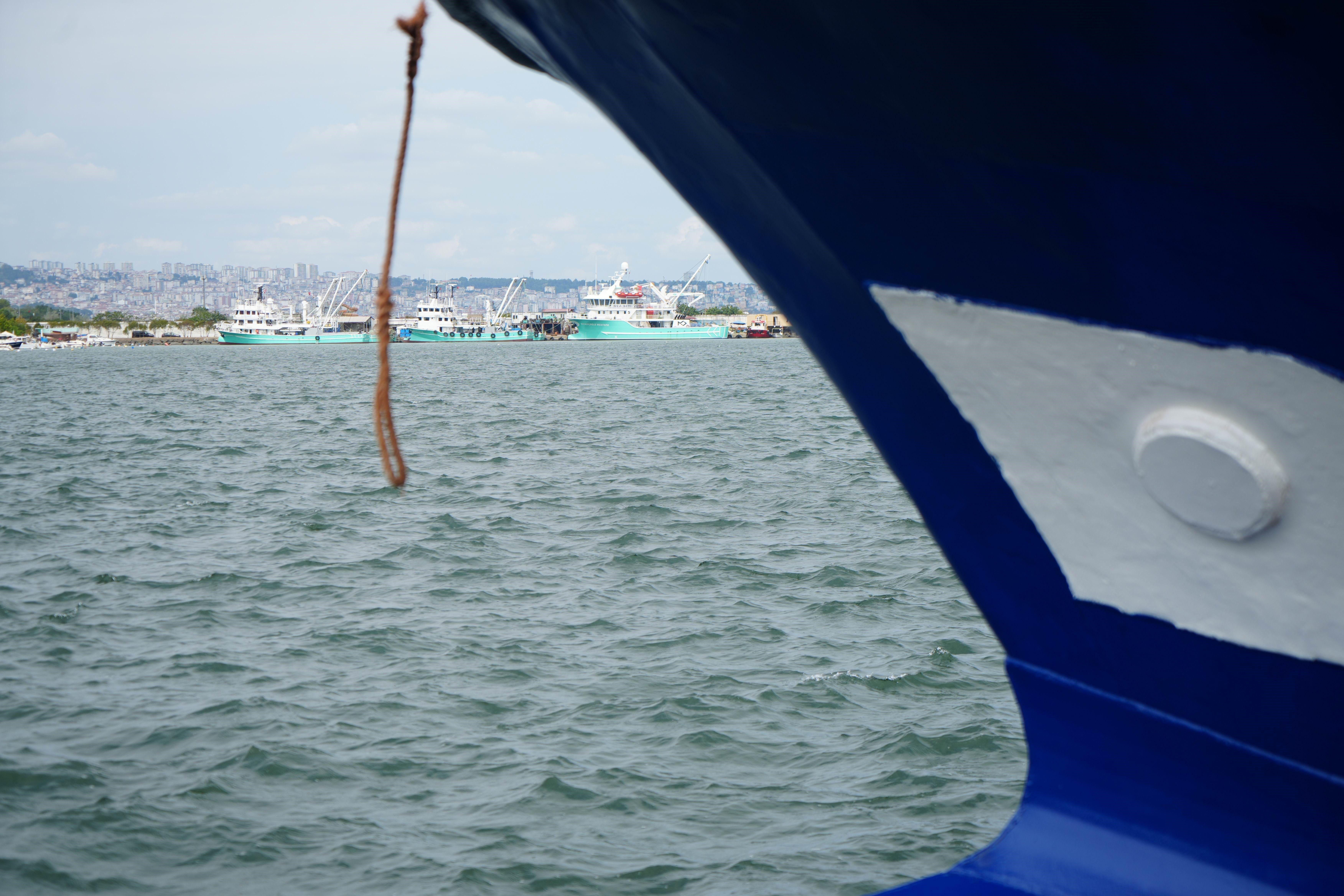 Kilosu 200 TL olacak! Hamsi, Altınla yarışıyor... - 2. Resim