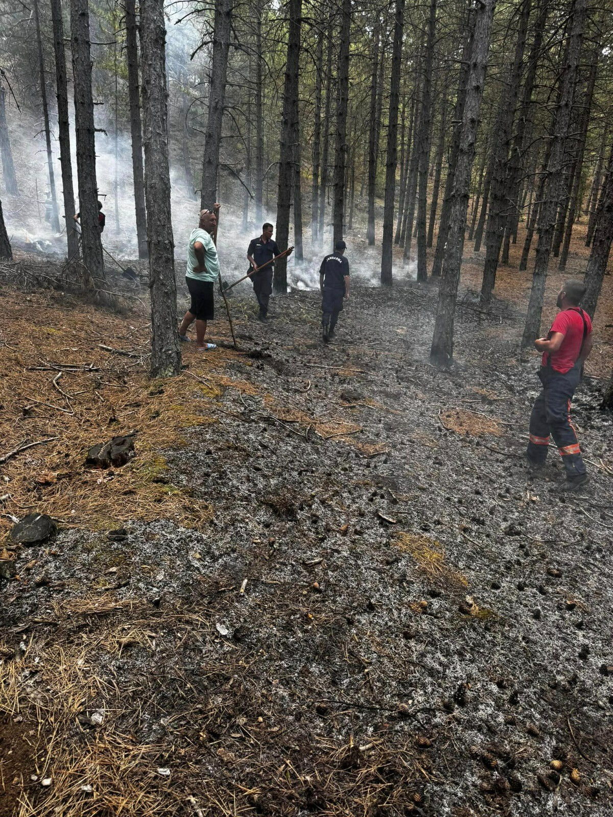 Üç ilde yıldırım düşmesi sonucu orman yangını çıktı - 1. Resim