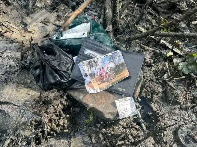 Uçak ormana düştü, 9 kişi hayatını kaybetti - 1. Resim