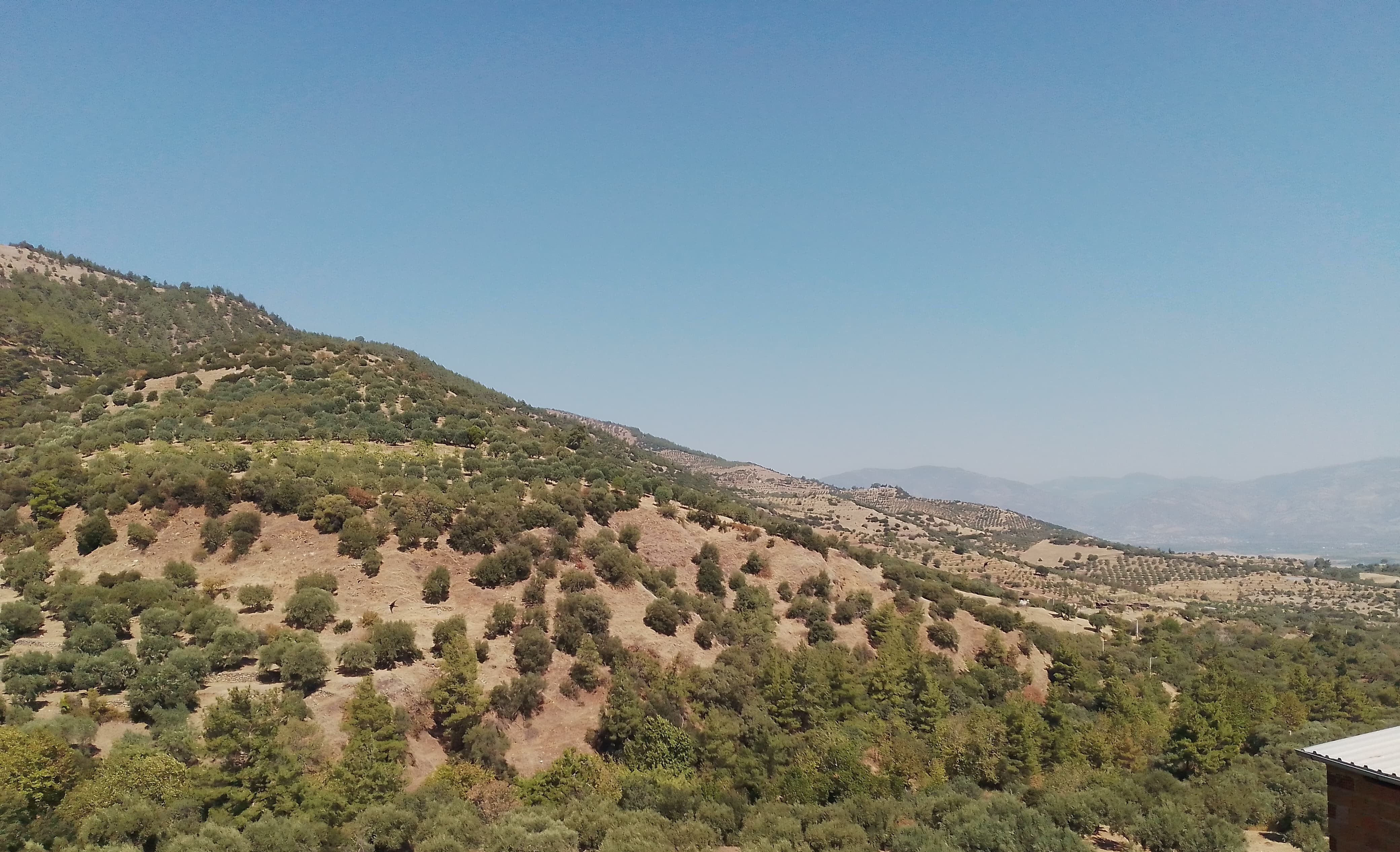 Aydın'da paniğe neden olan sesin kaynağı araştırılıyor! Aydın’da ne patladı? - 2. Resim