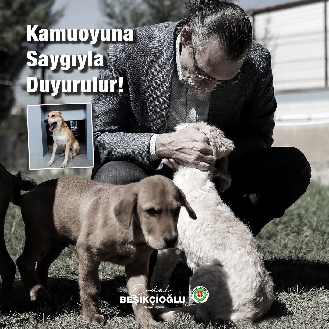 Erdal Beşikçioğlu'nun çocuğu ısıran köpekle ilgili kararına tepki çekti: Başkan suç işliyor - 1. Resim