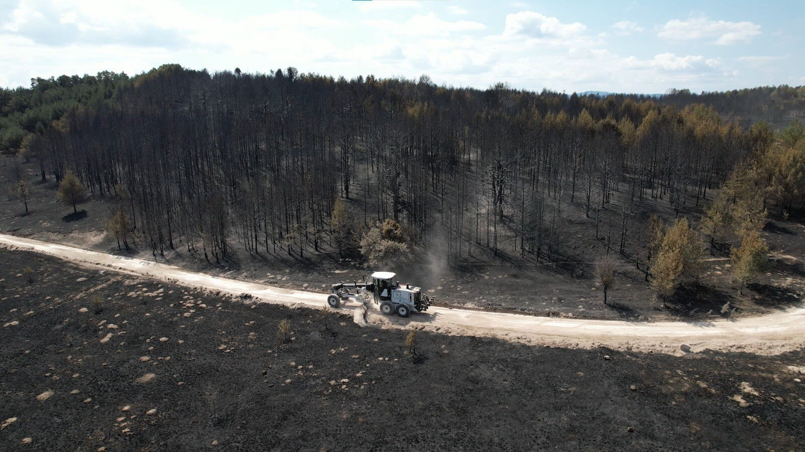 Kızılcahamam'dan Bolu'ya sıçrayan yangının feci boyutu gün ağarınca ortaya çıktı - 1. Resim