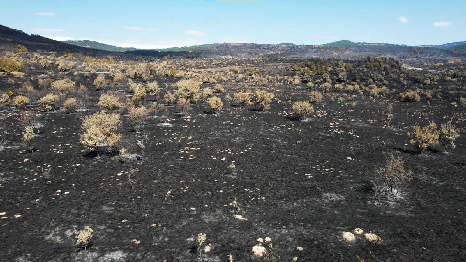 Kızılcahamam'dan Bolu'ya sıçrayan yangının feci boyutu gün ağarınca ortaya çıktı - 4. Resim
