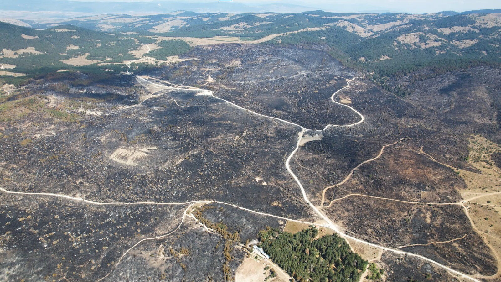 Kızılcahamam'dan Bolu'ya sıçrayan yangının feci boyutu gün ağarınca ortaya çıktı - 3. Resim