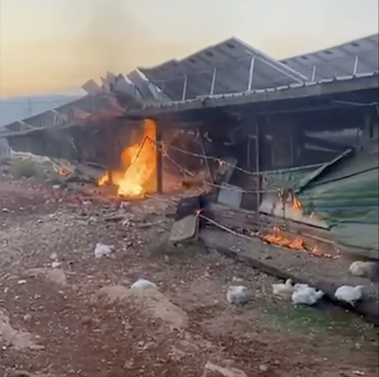 Gerilim artıyor! Hizbullah 320 füzeyle bombaladı! İsrail'de 48 saat OHAL ilan edildi Lübnan'da gerilim büyüyor! İsrail ve Hizbullah'tan karşılıklı hamleler - 2. Resim