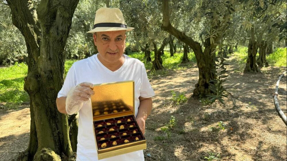 Siparişlere yetişemiyor! Altın kaplamalı zeytin yok satıyor Siparişlere yetişemiyor! Altın kaplamalı zeytin yok satıyor - 1. Resim