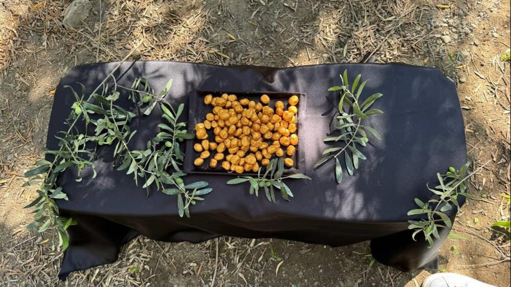 Siparişlere yetişemiyor! Altın kaplamalı zeytin yok satıyor Siparişlere yetişemiyor! Altın kaplamalı zeytin yok satıyor - 2. Resim