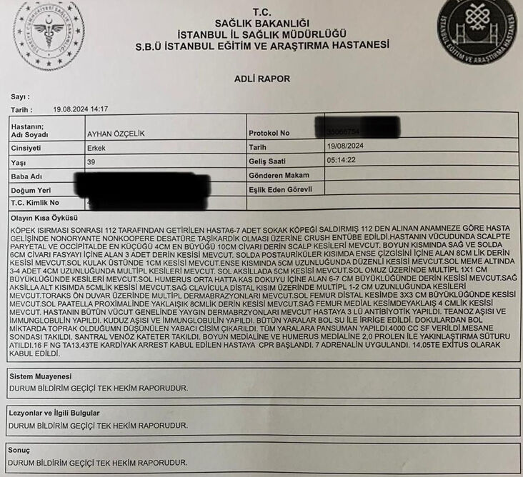 Ayhan Özçelik'in öldürüldüğü Fatih'te başıboş köpekleri toplayan belediye ekiplerine saldırı - 2. Resim