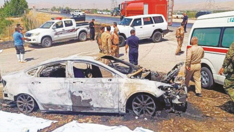 MİT'in öldürdüğü PKK'lı teröristler Hero Bahaddin ve Gülistan Tara'ya DEM Parti sahip çıktı: Türkiye bu saldırılarla ne yapmak istiyor? - 3. Resim