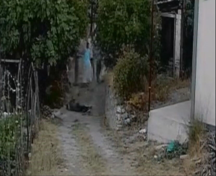 Bah&ccedil;eye giren s&uuml;r&uuml; cinayeti! 75 yaşındaki adam dehşet sa&ccedil;tı, o anlar kamerada - 2. Resim