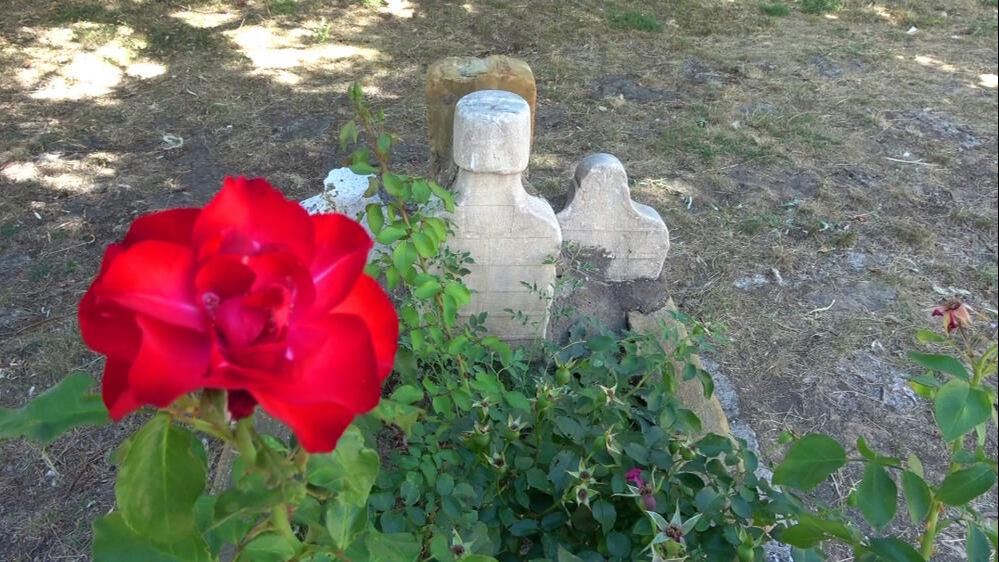 Gören hayret ediyor! Sivas'taki 'tek mezar' sırrını koruyor - 2. Resim