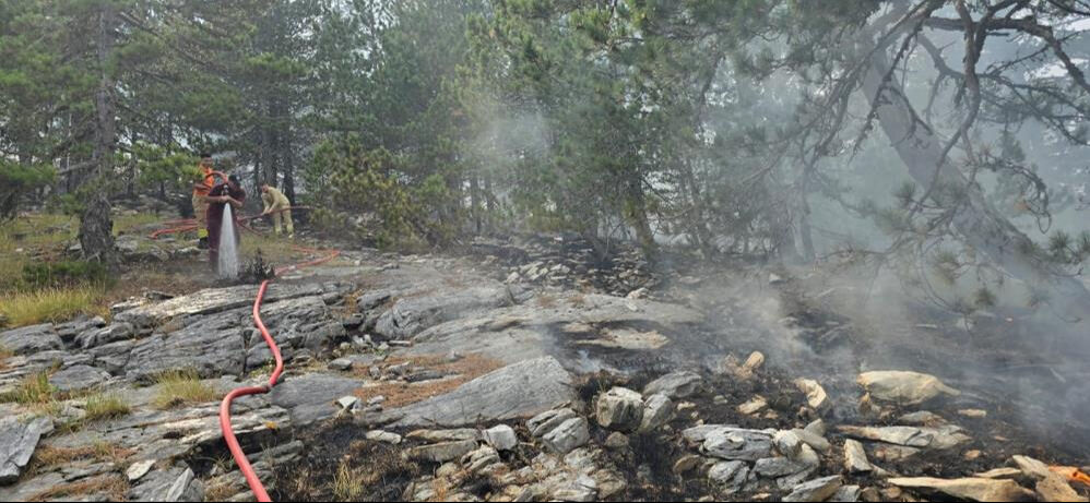 Balıkesir'deki Kazdağı Milli Parkı'nda çıkan yangına uçak ve helikopterlerle müdahale ediliyor - 1. Resim