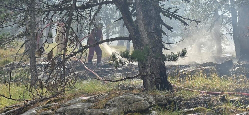 Balıkesir'deki Kazdağı Milli Parkı'nda çıkan yangına uçak ve helikopterlerle müdahale ediliyor - 3. Resim