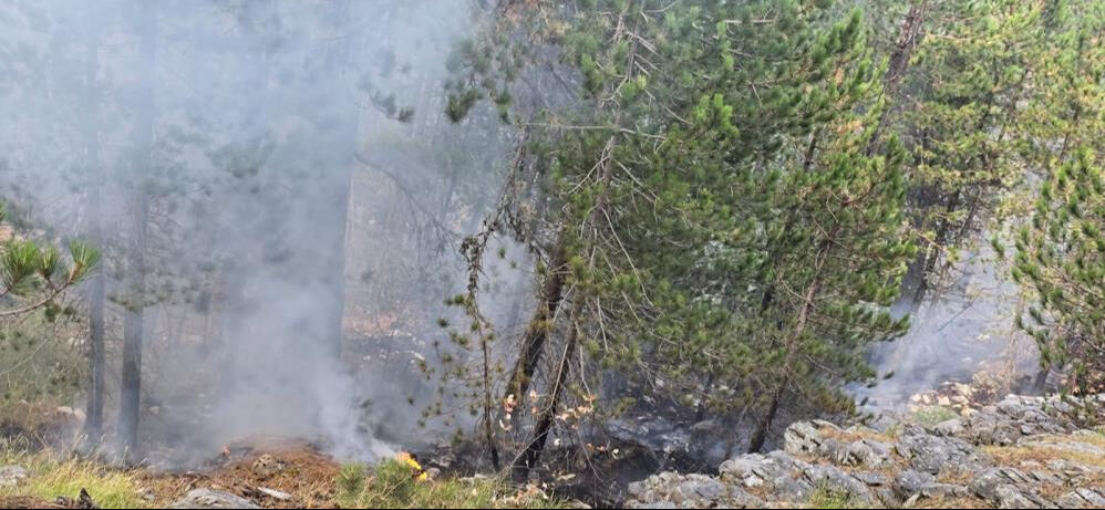Balıkesir'deki Kazdağı Milli Parkı'nda çıkan yangına uçak ve helikopterlerle müdahale ediliyor - 2. Resim