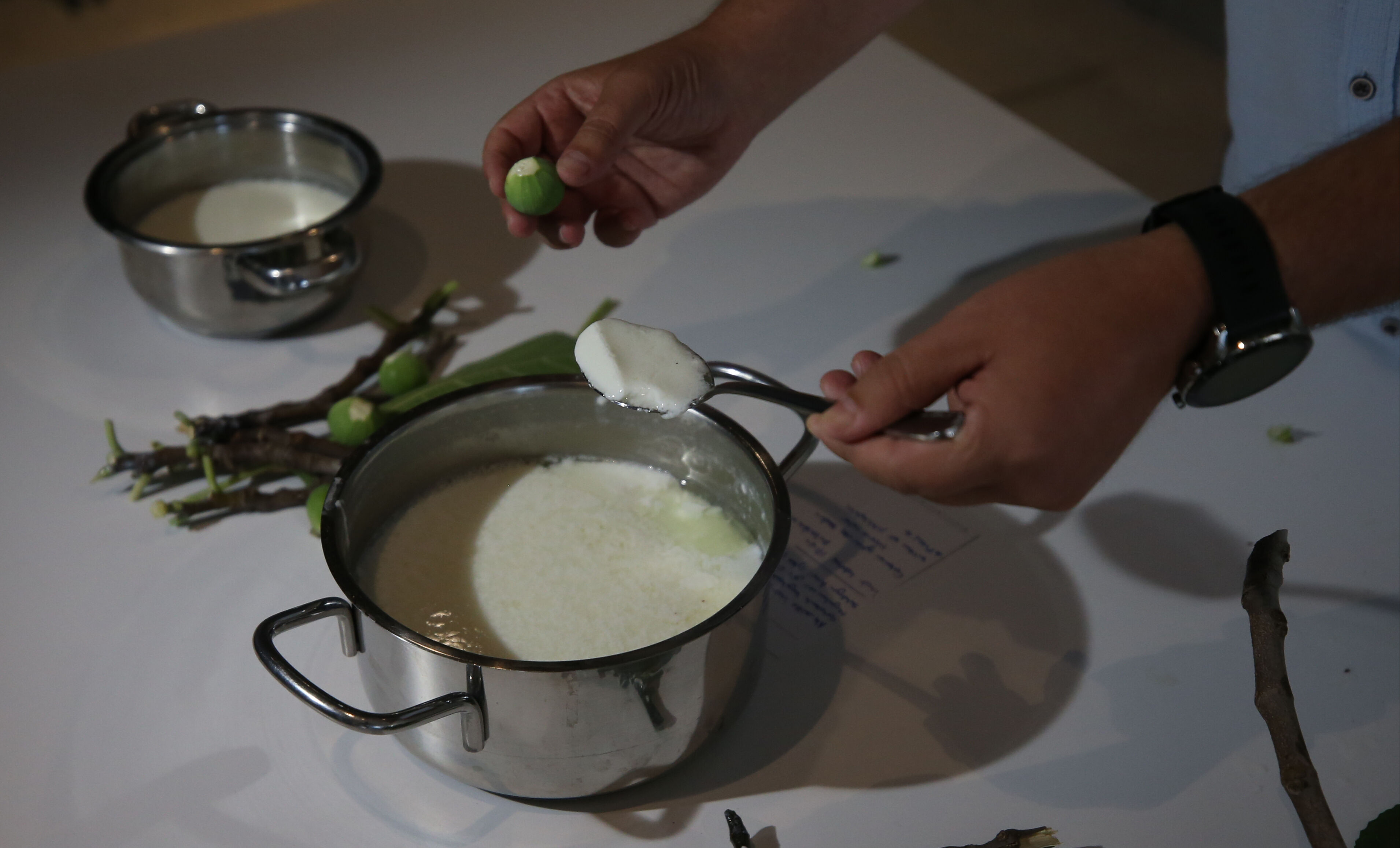 Homeros'un İlyada'sında Anadolu'nun 2 bin 750 yıllık lezzeti 